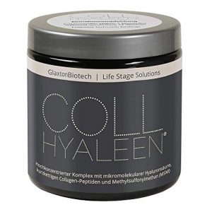 Collhyaleen® Gelenk Nahrungsergänzung mit Hyaluronsäure Vegan MSM Kollagen Hochdosiert I Gelenke Komplex Pulver MSM Hyaluron Collagenpulver I 180g Gelenk Supplement