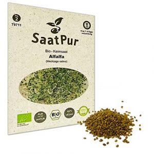 SaatPur Bio Keimsprossen – Keimsaat für Alfalfa Sprossen, Microgreen – 50g
