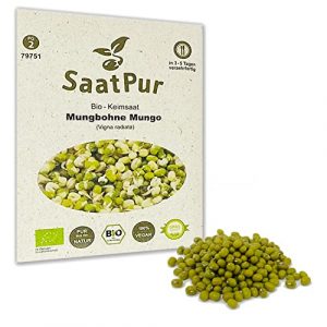 Mungbohnen BIO Keimsprossen SaatPur – Mungo Sprossen Keimsaat, Microgreen – 75g