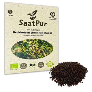 SaatPur Bio Keimsaat – Brokkoli Raab | Brokkoletti | Ur-Brokkoli| Keimsprossen Sprossen Microgreen – 30 g Lebensmittel Qualität