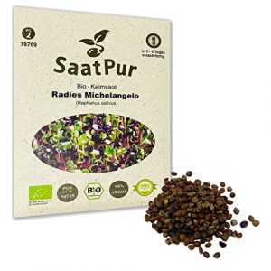 Radies Michelangelo BIO Keimsprossen von SaatPur – Keimsaat für die Sprossenzucht zuhause – 30g