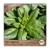 BIO Spinat Samen winterhart Sorte Winterriesen Verdil Winter Salat Gemüsesamen winterhart