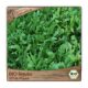 BIO Rucola Samen mehrjährige Salat Sorte (Diplotaxis tenuifolia) Kräutersamen wilde Rauke