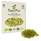 Mungbohnen BIO Keimsprossen SaatPur – Mungo Sprossen Keimsaat, Microgreen – 75g