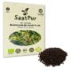 SaatPur Bio Keimsaat – Brokkoli Raab | Brokkoletti | Ur-Brokkoli| Keimsprossen Sprossen Microgreen – 30 g Lebensmittel Qualität